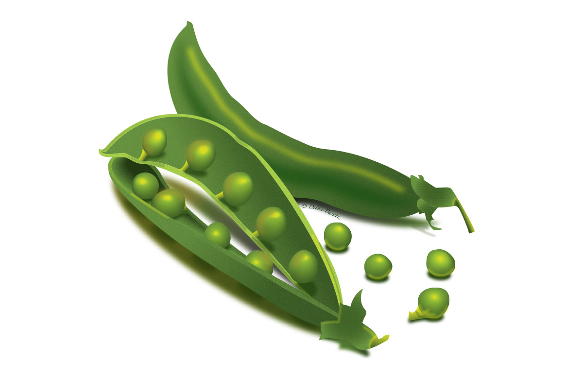 photorealistic illustration of peas
